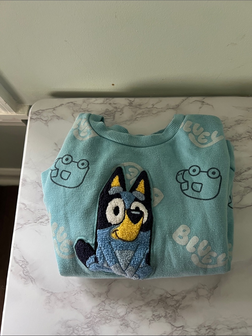 Bluey Pullover Sweatshirt with Appliqué - Aqua